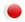 Grand Canyon and More Tours - Japanese