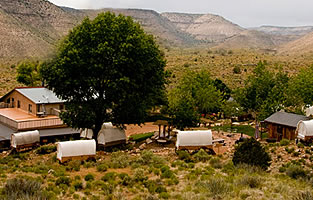 real working Grand Canyon cattle ranch!